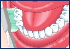 Image credit: Canadian Dental Association